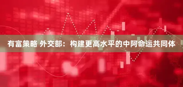 有富策略 外交部：构建更高水平的中阿命运共同体