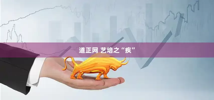 道正网 艺培之“疾”